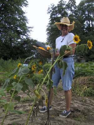 broyeur de jardin